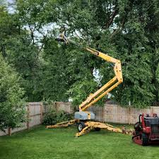 Waretown, NJ Tree Removal and Landscaping Services Company